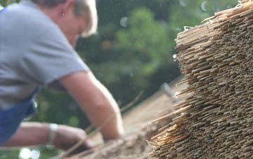 professional Hockholler thatchers